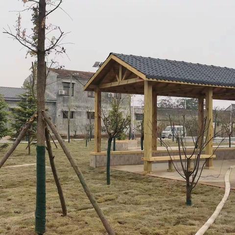 王屯乡：多措并举争创“生态宜居”家园