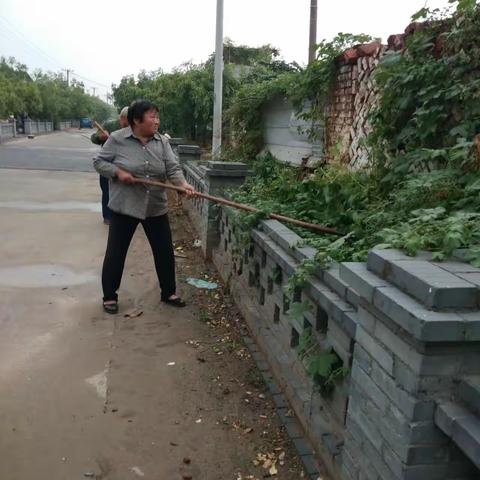 干干净净欢度国庆——王屯乡开展义务清洁日活动