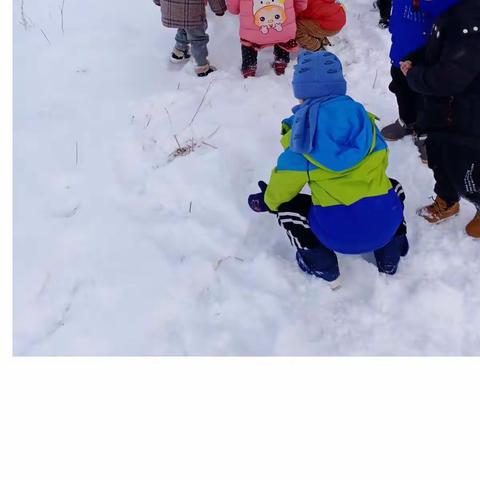 冬日的校园——一番别致的景象