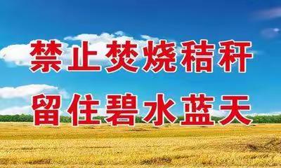 禁烧秸秆，美化家园——伊通十八中学禁烧秸秆倡议书