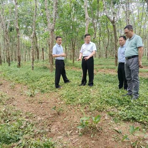 姜宏涛深入西联分公司调研