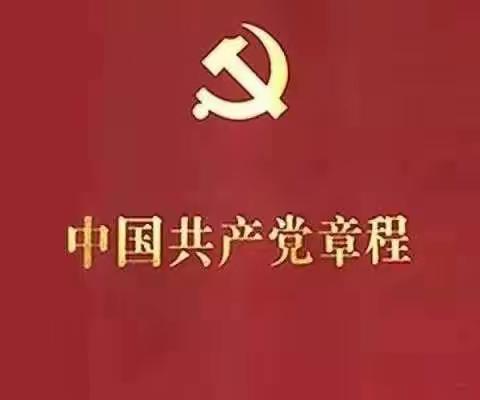 认真学习党章，争做合格党员---- 泰安高新区凤凰小学第三党支部党章学习活动