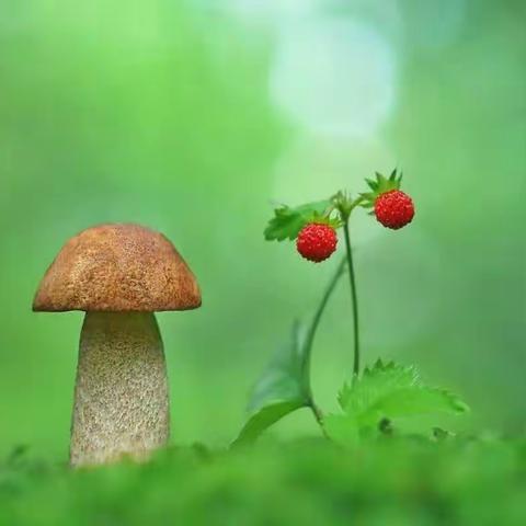 小讲师，在春天绽放