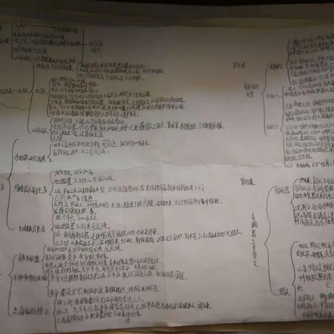 初一五班历史优秀思维导图