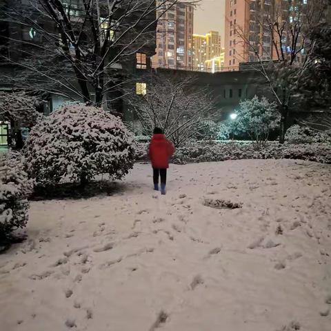 2020年最后一场雪！