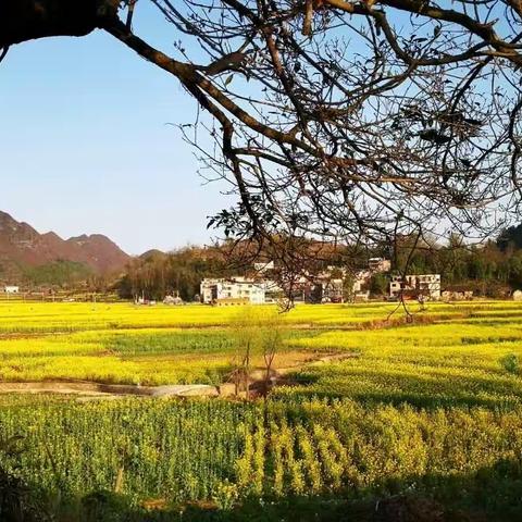 借得春风吹烂漫 又是一年好时节