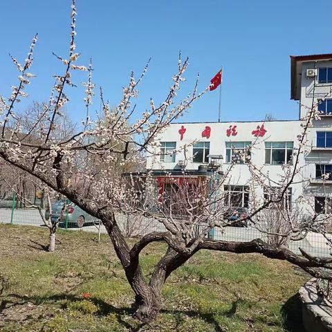 大四平税务分局春夏秋冬