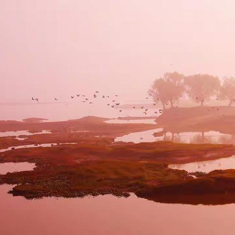 众鸟活跃季——拍鸟好时机！