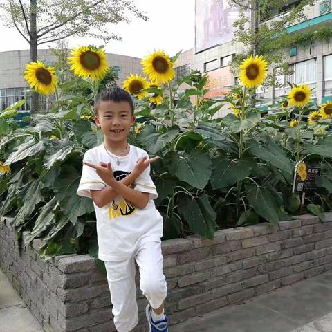 [站前小学]“优学婺城•幸福城”首届教育节一一文明勤学好少年裴修齐﻿