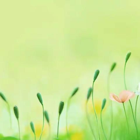 “研”途有你，“英”你精彩，魅力绽 放，收获成长！