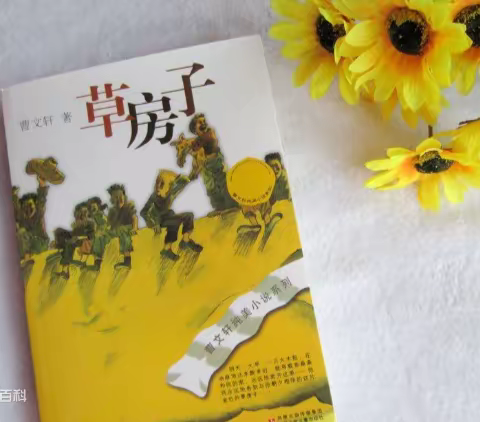 我阅读我推荐——《草房子》
