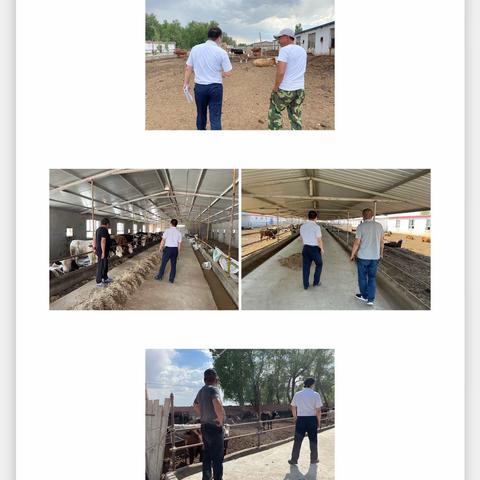 加强贷后管理，筑牢风控根基