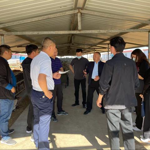 落实养殖条件，扎实贷前调查