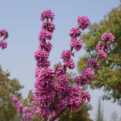 春天再见 夏天你好