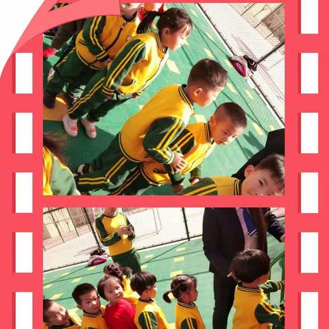 格林幼儿园中班成长记录