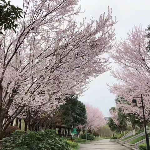 读雷锋，学雷锋