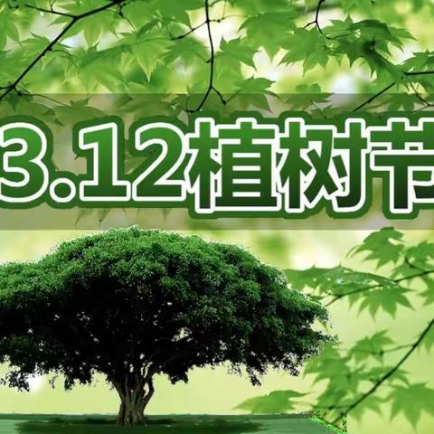 海象班2021年3.12植树节活动