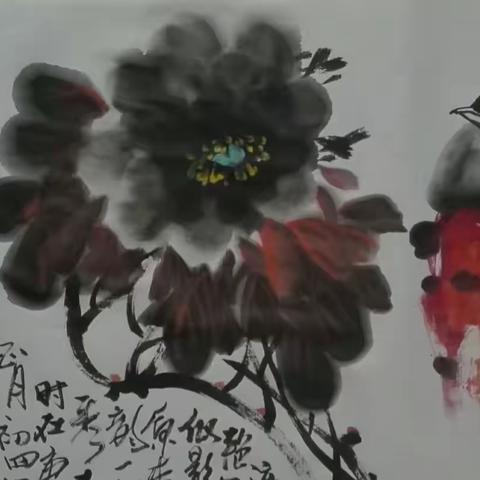 书画家马有华【水墨牡丹】