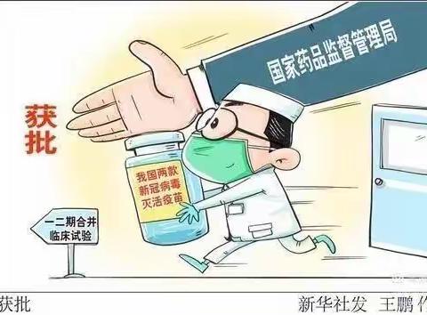 小手拉大手      建立全民免疫屏障  ——涿鹿县东风路小学再致家长的一封信