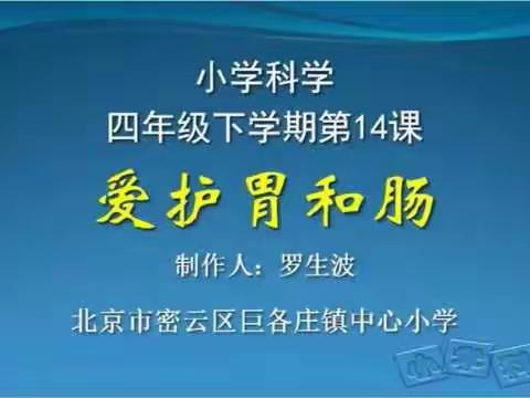 四年级科学（爱护胃和肠）