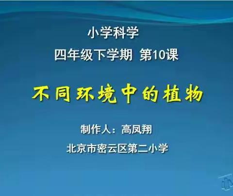 四年级科学《不同环境中的植物》