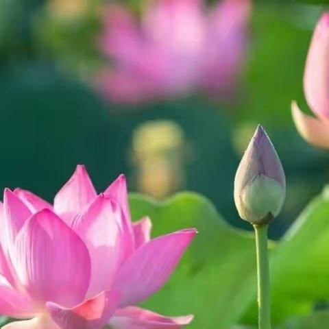 不负寒假好时光，优秀作业展风采——二年级寒假作业展