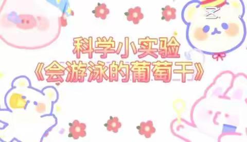 西城实小幼儿园线上活动——科学小实验《会游泳的葡萄干》