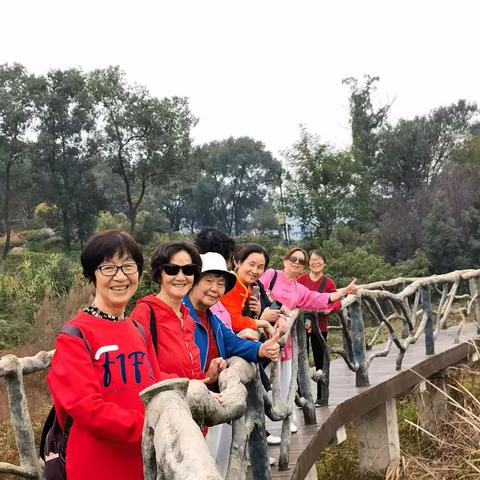 不俱时光享受大自然带来的美（春晓队一日游） 地点：马鞍山太渔桥村 时间：2023.10.27日