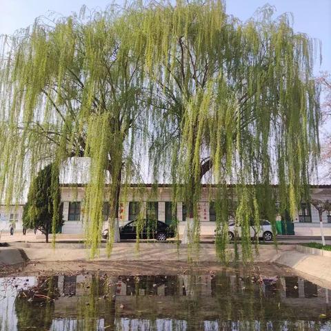 孙村中学读书月活动方案