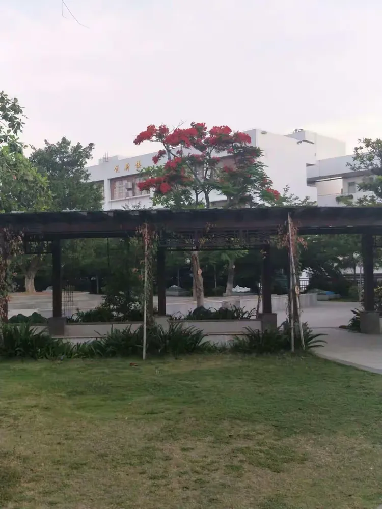 昌江思源实验学校