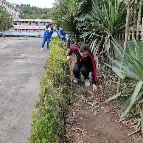 美化校园   师生在行动