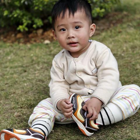 梅子花开的美篇-骏一岁回蕉岭