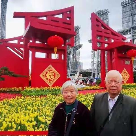 梅子花开的美篇