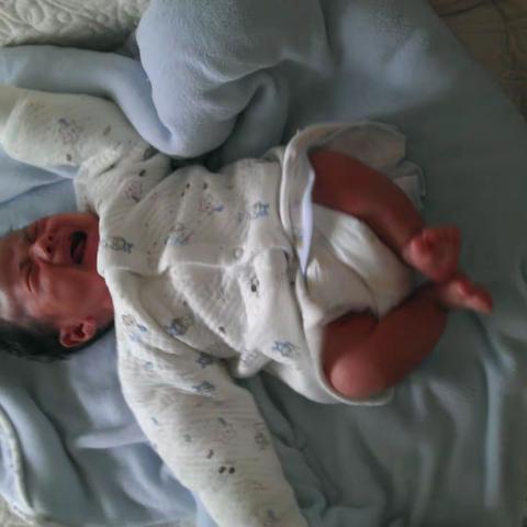 梅子花开的美篇-骏BB