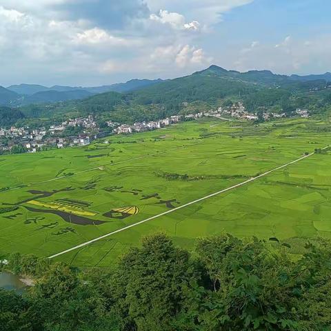 开阳县民族学校招生入学现场审核