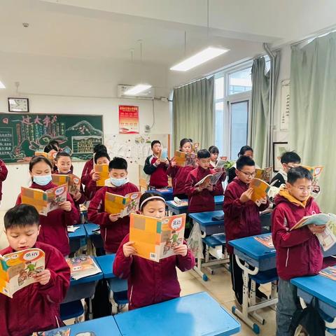 静待花开日，学习正当时——六一荷花班精彩分享