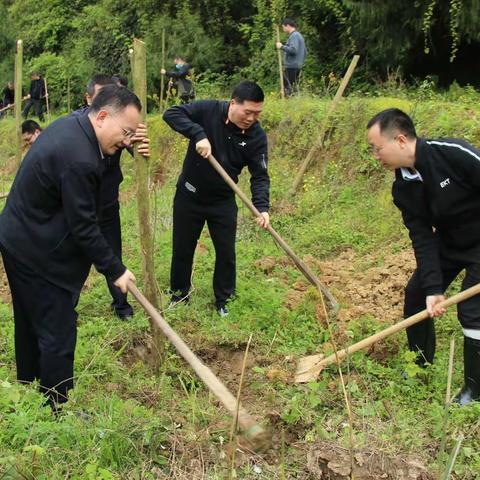 县四家班子领导带头开展义务植树活动