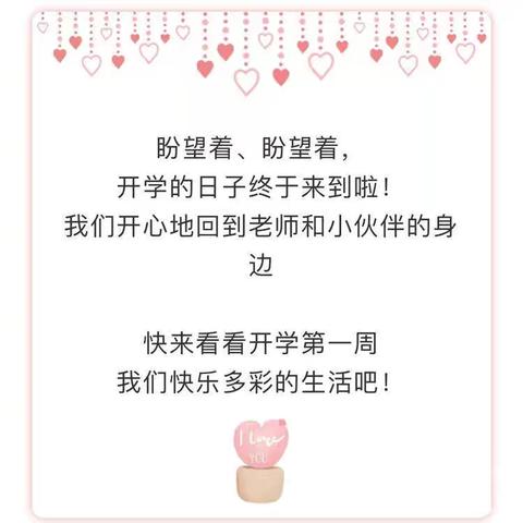 不负春光 “幼”见美好——新妙新星幼儿园中三班开学第一周美篇