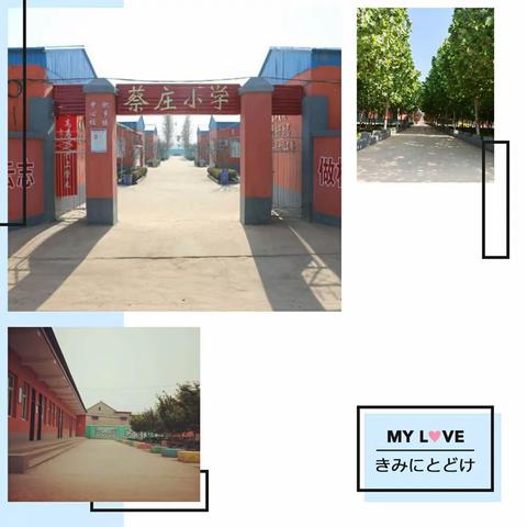 归期已定  等你回来——肥乡镇中心校蔡庄小学四、五年级复课通知