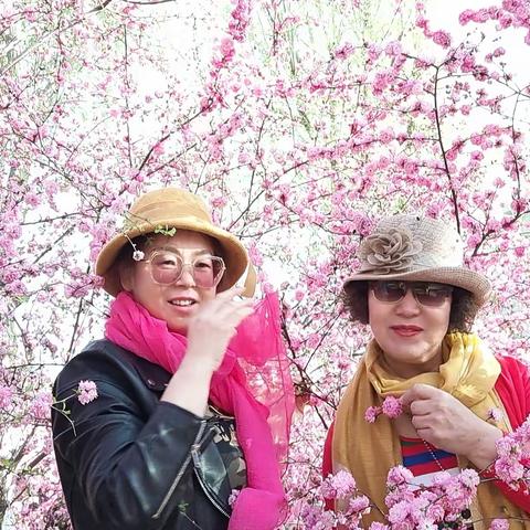 花蕊🌸的美篇