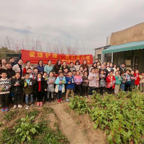 “爱绿护绿，我们在行动”一（8）班植树·Diy盆栽蛋糕主题活动