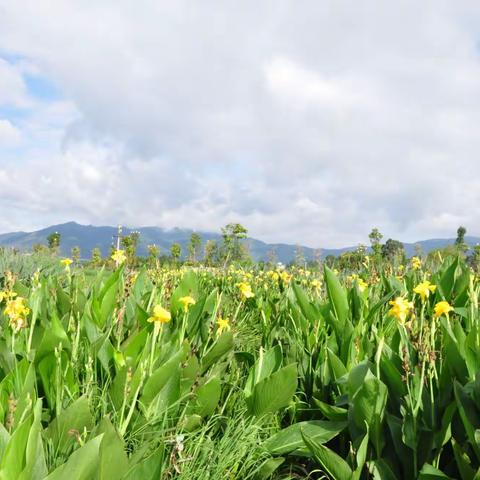 抚仙湖风景美如画