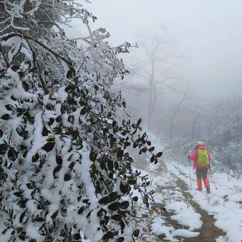 冰天雪地金衩垅