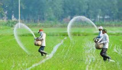 各种肥料，每亩地到底要施用多少？和拉姆拉一起来探索！