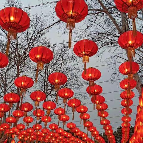 温情摇曳在乍暖春光里