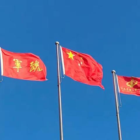 江苏省镇江第一中学2021级5班军训七日