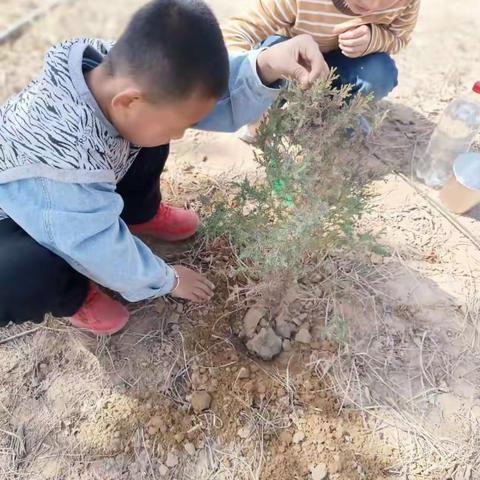 希望小学二年级二班郝宇轩