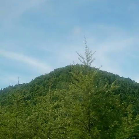 至高考的学子。