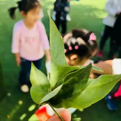 春季卫生保健小常识