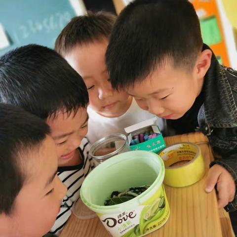 美丽的五月，青葵幼儿园探索一班的快乐五月时光